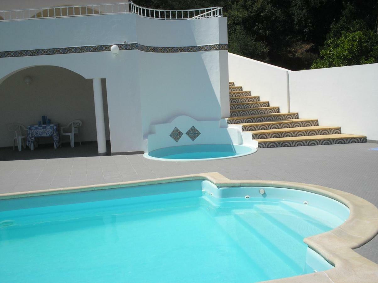 Vivenda Pirilampo Vila Nova de Poiares Exterior foto